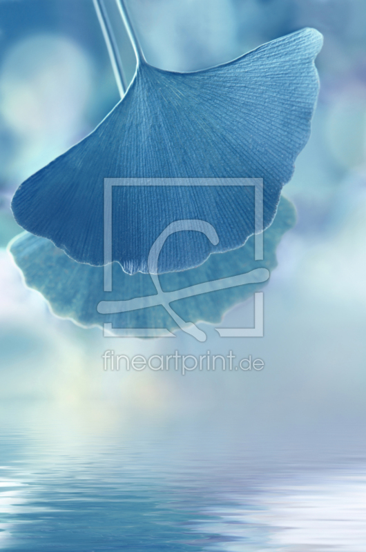 frei w&auml;hlbarer Bildausschnitt f&uuml;r Ihr Bild auf Poster