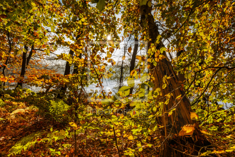 frei w&auml;hlbarer Bildausschnitt f&uuml;r Ihr Bild auf Poster