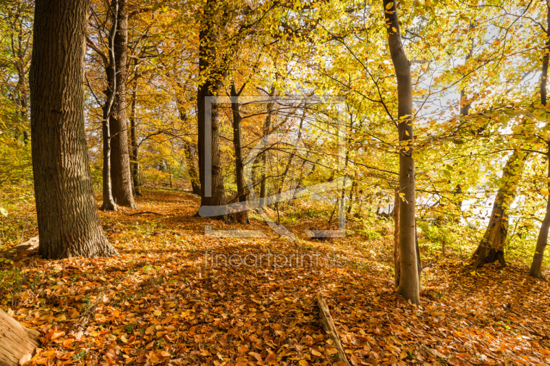 frei w&auml;hlbarer Bildausschnitt f&uuml;r Ihr Bild auf Poster