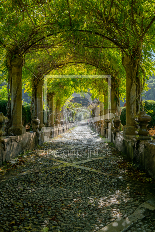 frei w&auml;hlbarer Bildausschnitt f&uuml;r Ihr Bild auf Poster