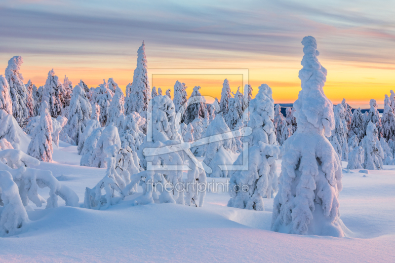 frei w&auml;hlbarer Bildausschnitt f&uuml;r Ihr Bild auf Poster