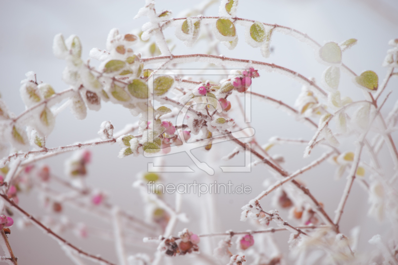 frei w&auml;hlbarer Bildausschnitt f&uuml;r Ihr Bild auf Poster