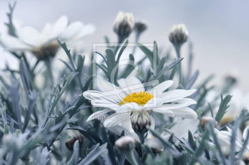 frei w&auml;hlbarer Bildausschnitt f&uuml;r Ihr Bild auf Poster