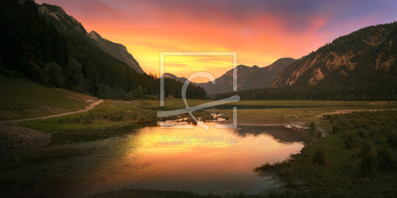 frei wählbarer Bildausschnitt für Ihr Bild auf Poster