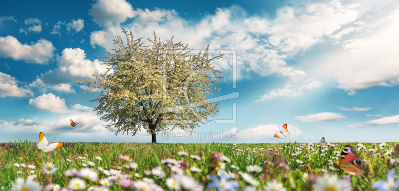 frei wählbarer Bildausschnitt für Ihr Bild auf Poster