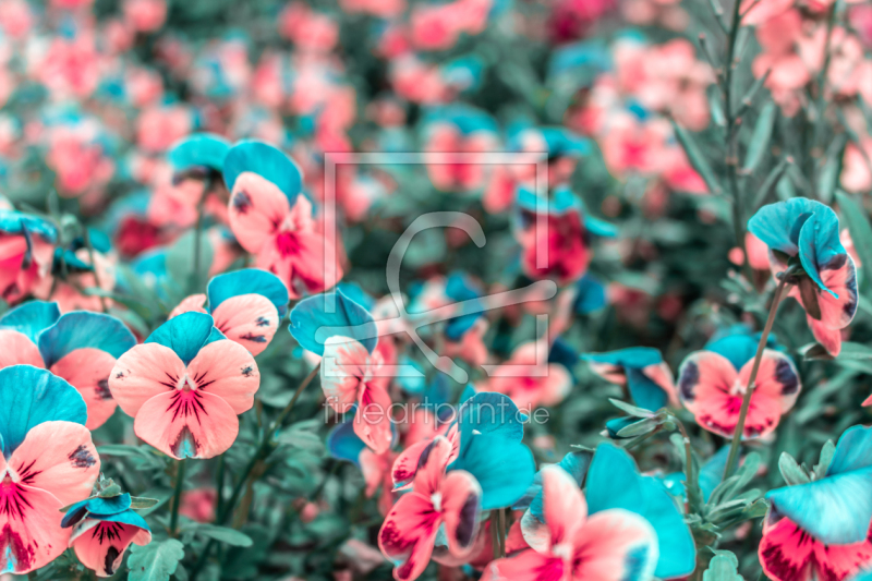 frei w&auml;hlbarer Bildausschnitt f&uuml;r Ihr Bild auf Poster