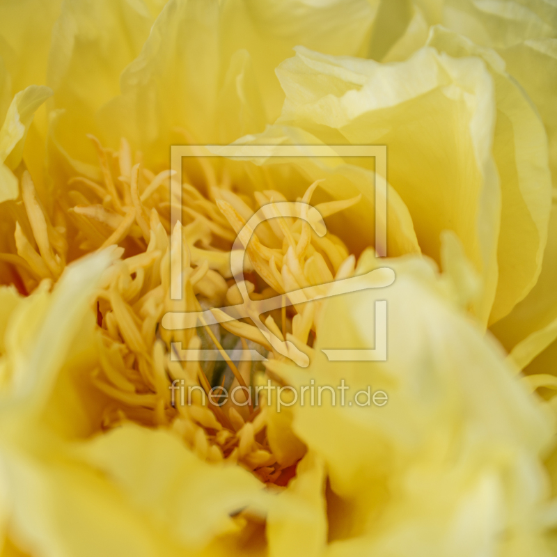 frei w&auml;hlbarer Bildausschnitt f&uuml;r Ihr Bild auf Poster