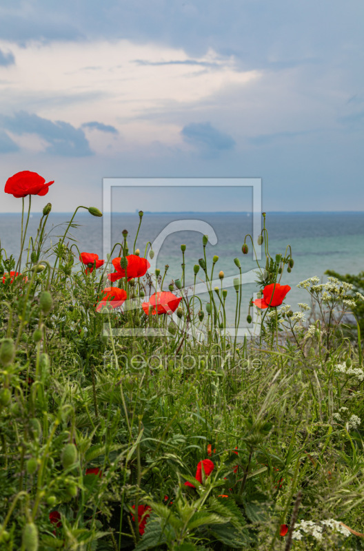 frei w&auml;hlbarer Bildausschnitt f&uuml;r Ihr Bild auf Poster