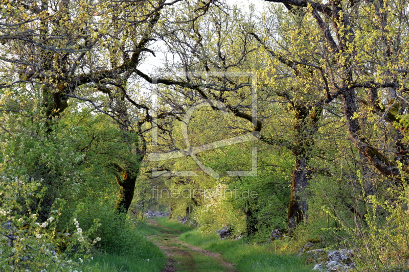 frei wählbarer Bildausschnitt für Ihr Bild auf Poster