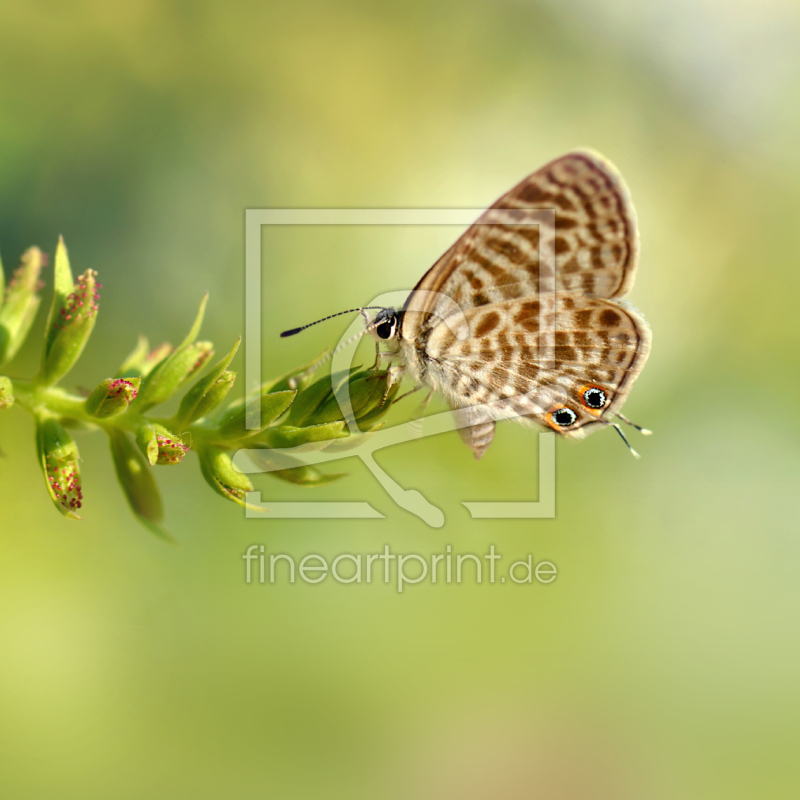 frei w&auml;hlbarer Bildausschnitt f&uuml;r Ihr Bild auf Poster