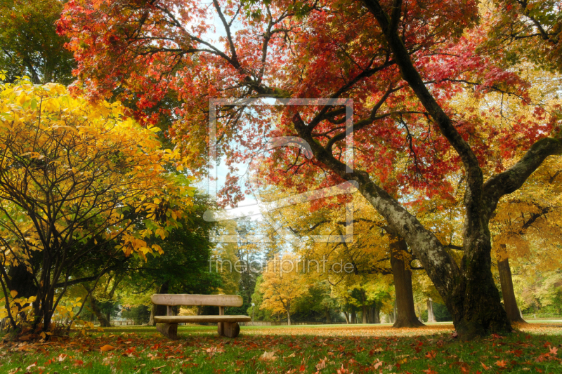 frei w&auml;hlbarer Bildausschnitt f&uuml;r Ihr Bild auf Poster