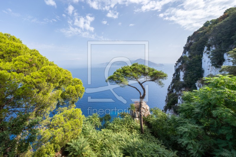 frei w&auml;hlbarer Bildausschnitt f&uuml;r Ihr Bild auf Poster