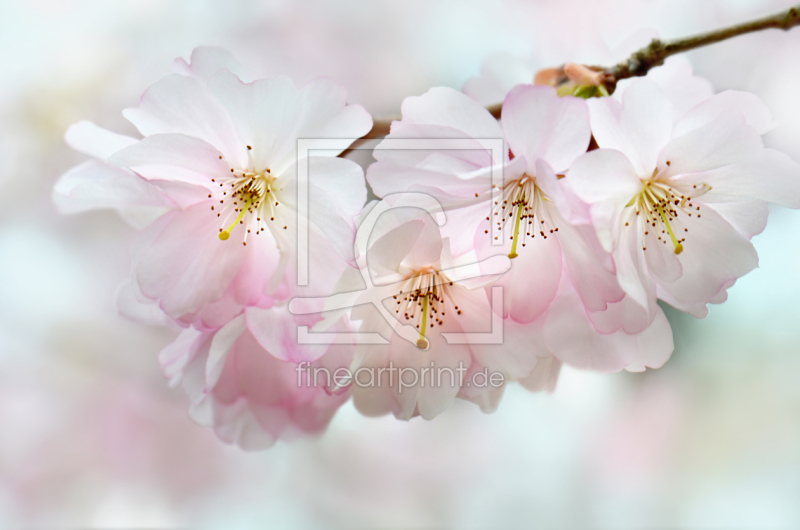 frei w&auml;hlbarer Bildausschnitt f&uuml;r Ihr Bild auf Poster