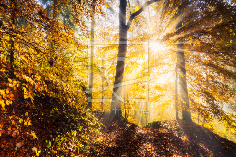 frei w&auml;hlbarer Bildausschnitt f&uuml;r Ihr Bild auf Poster