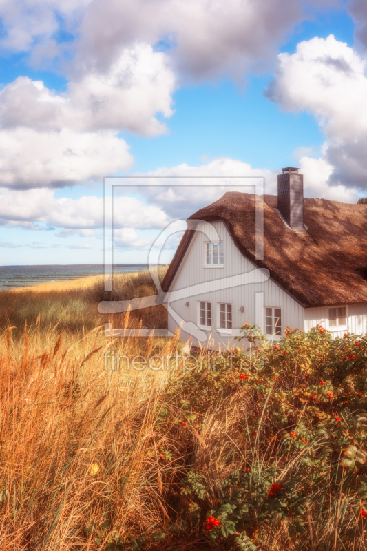 frei w&auml;hlbarer Bildausschnitt f&uuml;r Ihr Bild auf Poster