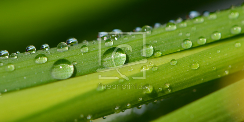 frei w&auml;hlbarer Bildausschnitt f&uuml;r Ihr Bild auf Poster