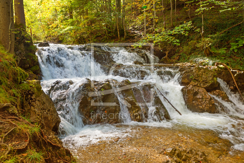 frei w&auml;hlbarer Bildausschnitt f&uuml;r Ihr Bild auf Poster