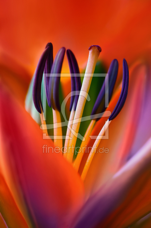 frei w&auml;hlbarer Bildausschnitt f&uuml;r Ihr Bild auf Poster