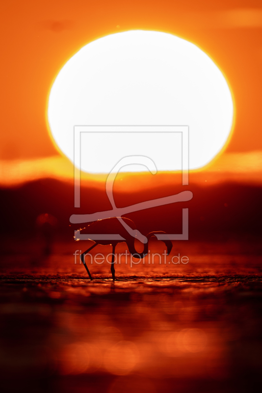 frei w&auml;hlbarer Bildausschnitt f&uuml;r Ihr Bild auf Poster