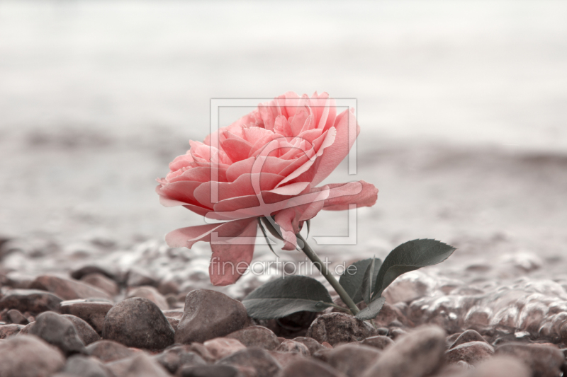 frei w&auml;hlbarer Bildausschnitt f&uuml;r Ihr Bild auf Poster