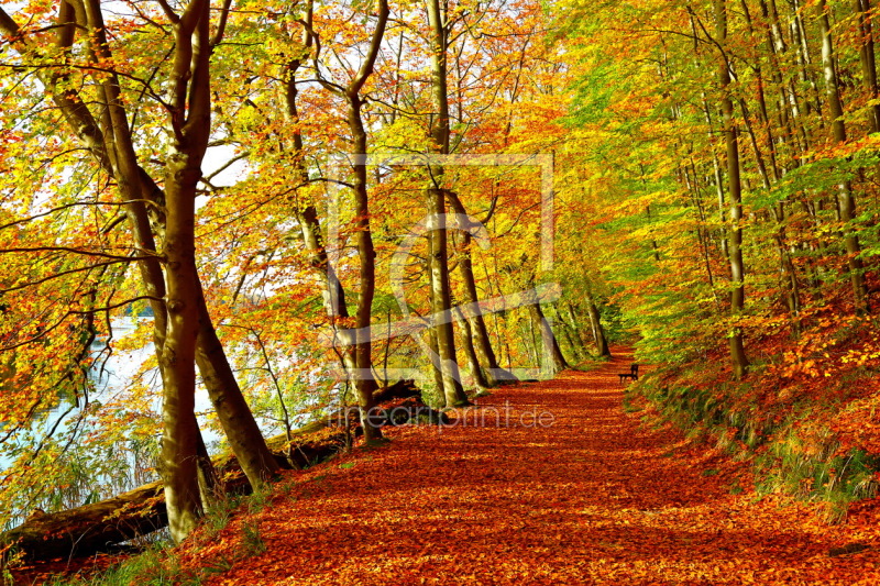 frei w&auml;hlbarer Bildausschnitt f&uuml;r Ihr Bild auf Poster