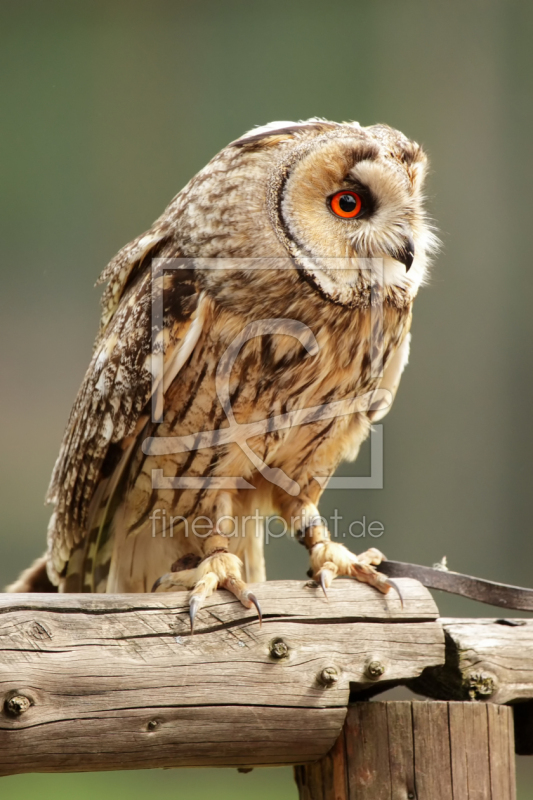 frei w&auml;hlbarer Bildausschnitt f&uuml;r Ihr Bild auf Poster