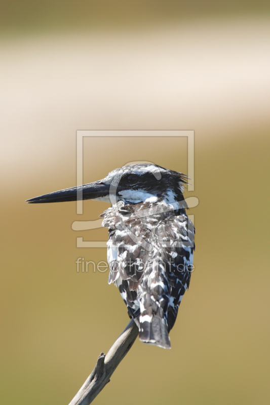 frei w&auml;hlbarer Bildausschnitt f&uuml;r Ihr Bild auf Poster