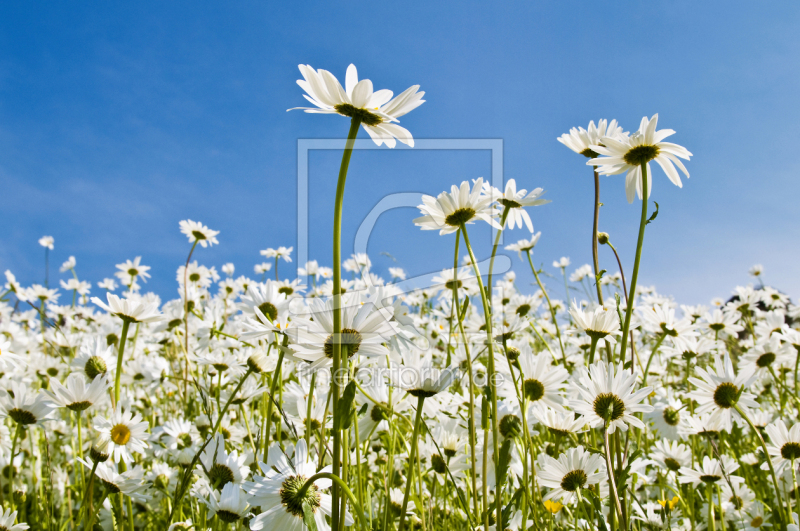 frei w&auml;hlbarer Bildausschnitt f&uuml;r Ihr Bild auf Poster