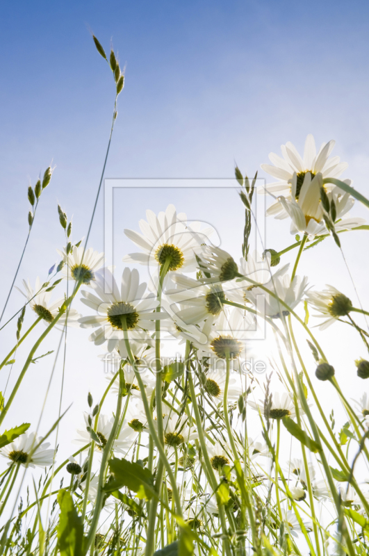 frei w&auml;hlbarer Bildausschnitt f&uuml;r Ihr Bild auf Poster