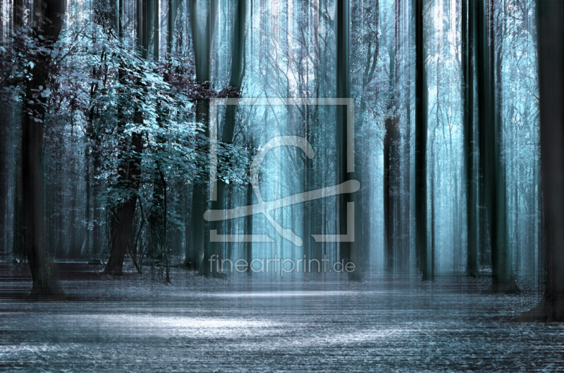 frei w&auml;hlbarer Bildausschnitt f&uuml;r Ihr Bild auf Poster