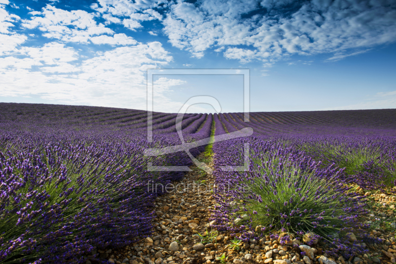 frei w&auml;hlbarer Bildausschnitt f&uuml;r Ihr Bild auf Poster