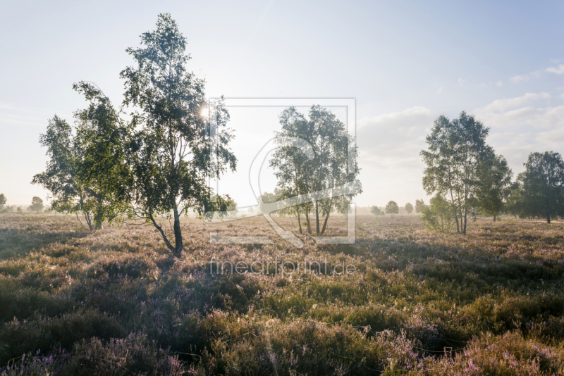 frei w&auml;hlbarer Bildausschnitt f&uuml;r Ihr Bild auf Poster