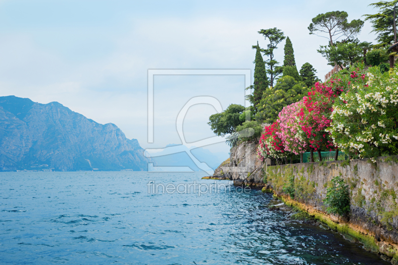 frei w&auml;hlbarer Bildausschnitt f&uuml;r Ihr Bild auf Poster