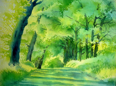 Bild-Nr: 10758983 Lichtallee Erstellt von: Thomas Habermann