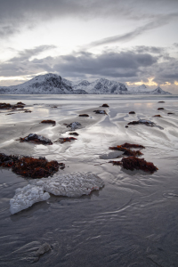 Bild-Nr: 12371626 Winterstrand Erstellt von: lichtjahr21