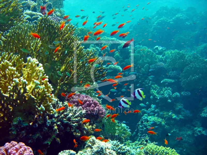 frei w&auml;hlbarer Bildausschnitt f&uuml;r Ihr Bild auf Schieferplatte