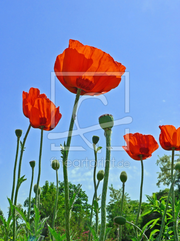 frei w&auml;hlbarer Bildausschnitt f&uuml;r Ihr Bild auf Schieferplatte