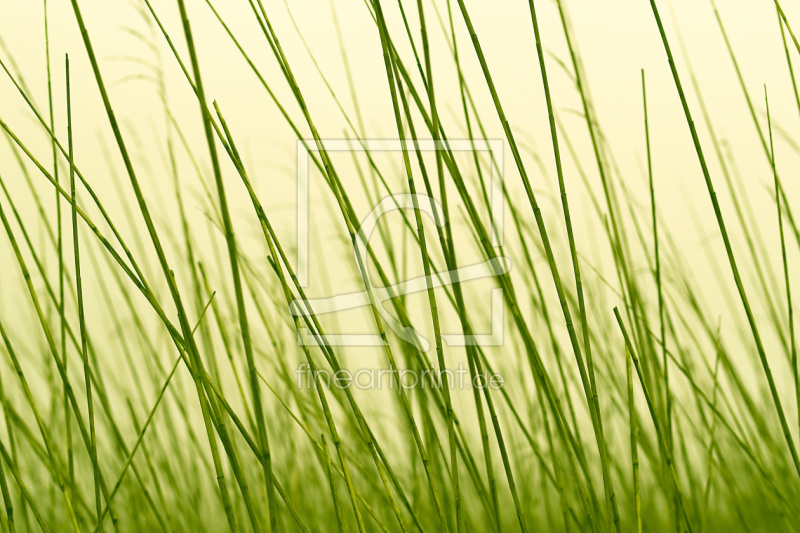 frei w&auml;hlbarer Bildausschnitt f&uuml;r Ihr Bild auf Schieferplatte