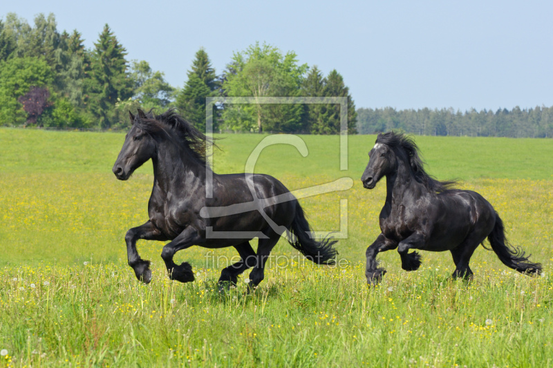 frei w&auml;hlbarer Bildausschnitt f&uuml;r Ihr Bild auf Schieferplatte