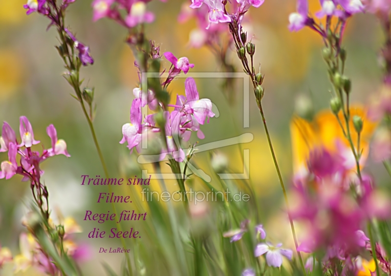 frei w&auml;hlbarer Bildausschnitt f&uuml;r Ihr Bild auf Schieferplatte