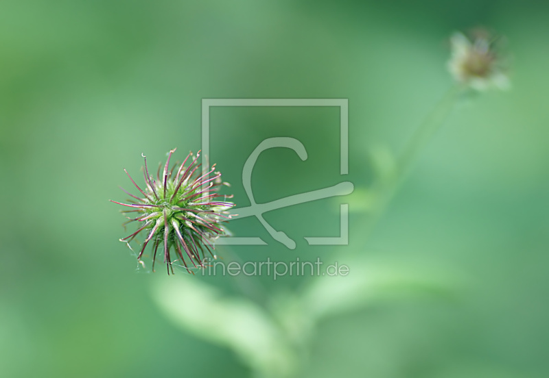 frei w&auml;hlbarer Bildausschnitt f&uuml;r Ihr Bild auf Schieferplatte