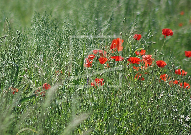 frei wählbarer Bildausschnitt für Ihr Bild auf Schieferplatte