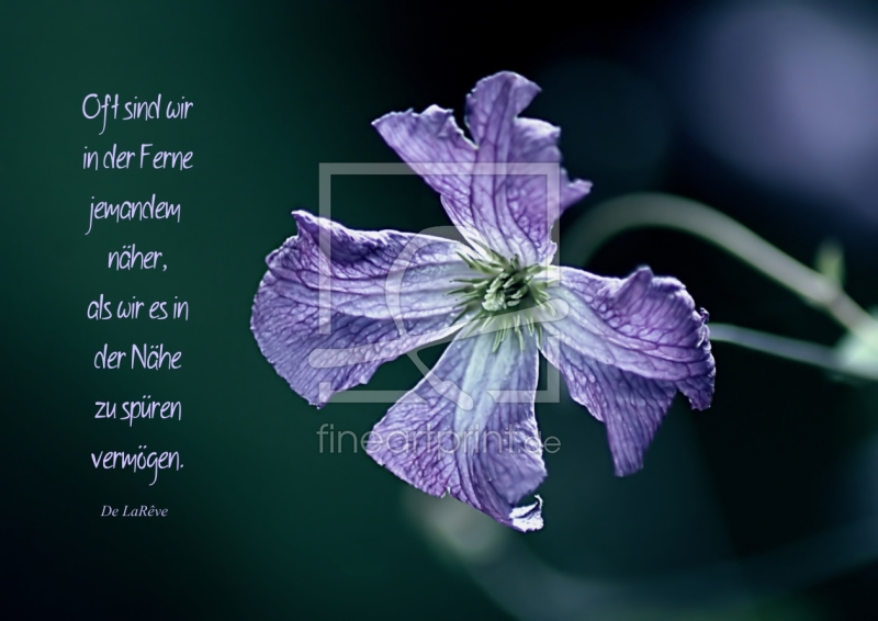 frei w&auml;hlbarer Bildausschnitt f&uuml;r Ihr Bild auf Schieferplatte