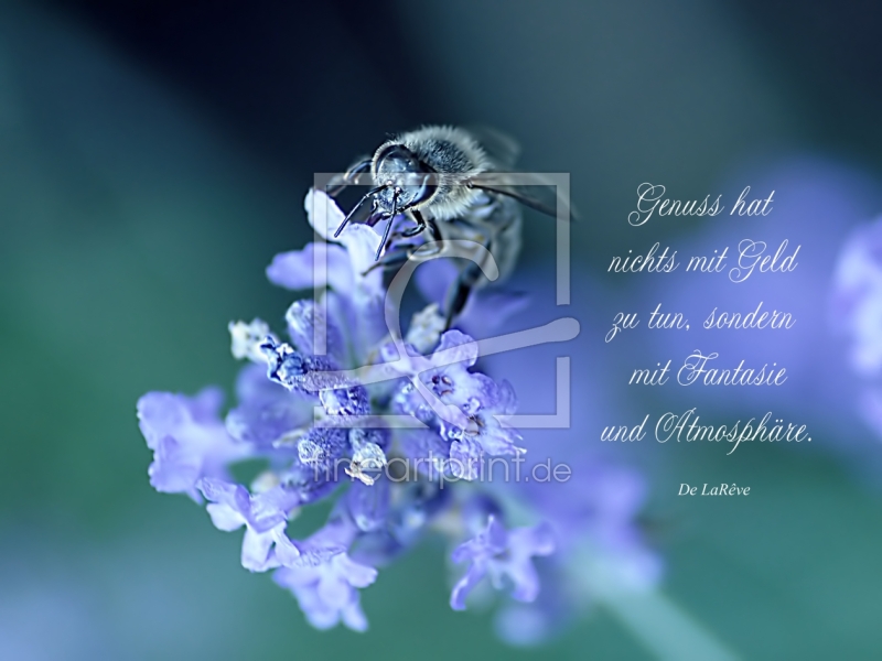 frei w&auml;hlbarer Bildausschnitt f&uuml;r Ihr Bild auf Schieferplatte