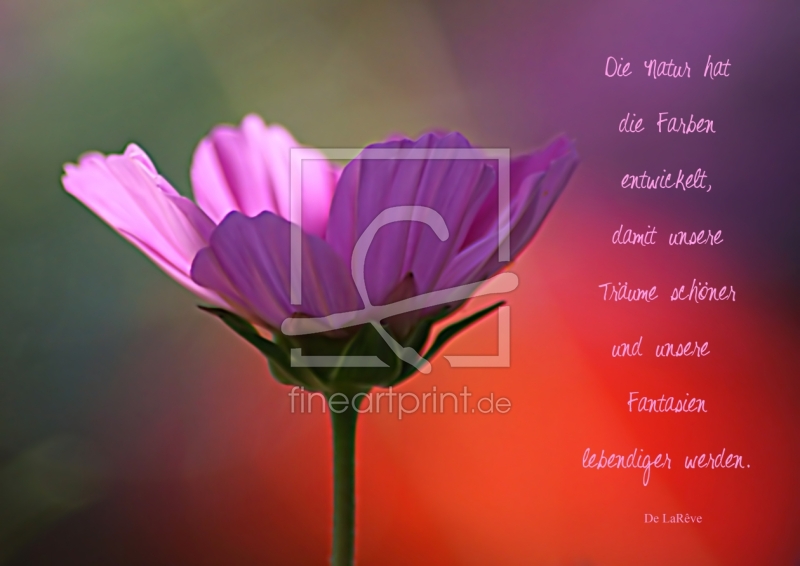 frei w&auml;hlbarer Bildausschnitt f&uuml;r Ihr Bild auf Schieferplatte