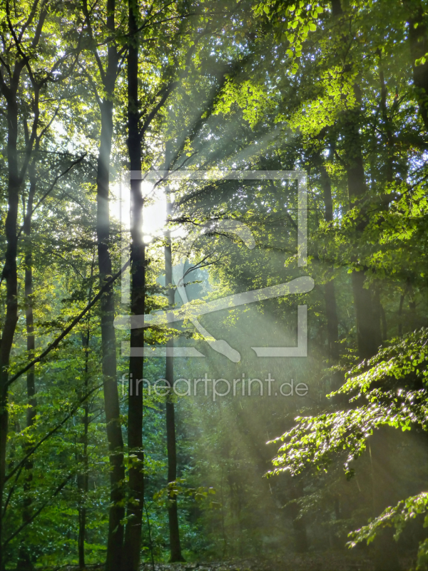 frei w&auml;hlbarer Bildausschnitt f&uuml;r Ihr Bild auf Schieferplatte