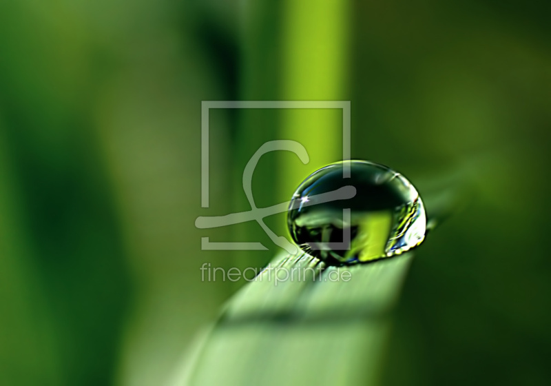 frei w&auml;hlbarer Bildausschnitt f&uuml;r Ihr Bild auf Schieferplatte