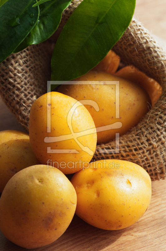 frei w&auml;hlbarer Bildausschnitt f&uuml;r Ihr Bild auf Schieferplatte