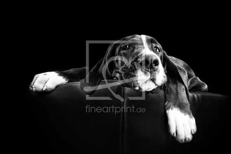 frei w&auml;hlbarer Bildausschnitt f&uuml;r Ihr Bild auf Schieferplatte