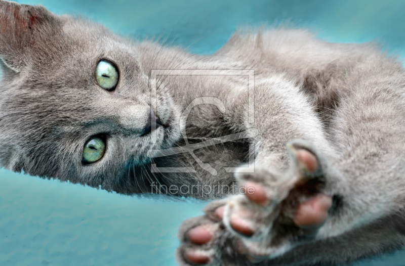 frei w&auml;hlbarer Bildausschnitt f&uuml;r Ihr Bild auf Schieferplatte